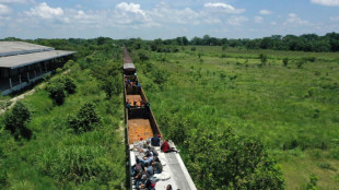 Mexico cargo trains halted after migrant deaths, injuries
