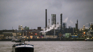 German investors cheered by tariff talks, new government