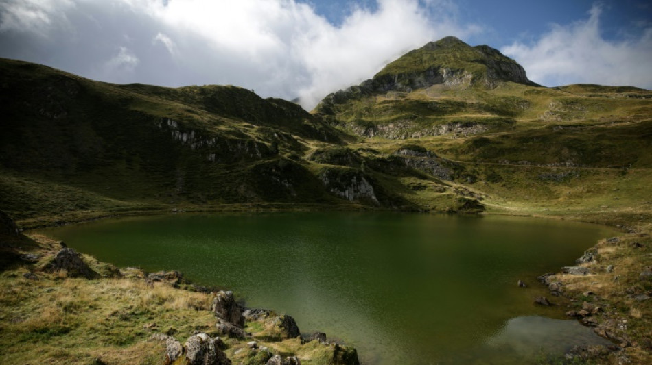 Des poissons introduits dans un lac de montagne dès le 7e siècle