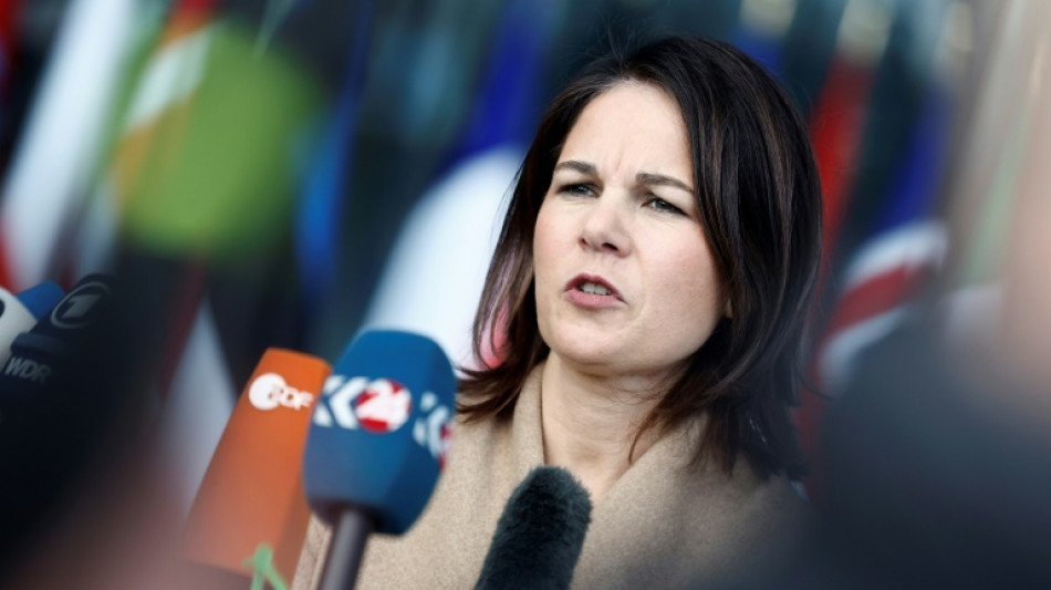 Baerbock ruft zum Auftakt von Klimadialog zu Ausbau von Erneuerbaren auf