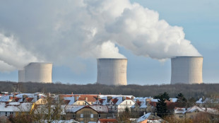 La France accueille un sommet &agrave; Paris pour acc&eacute;lerer la relance du nucl&eacute;aire 