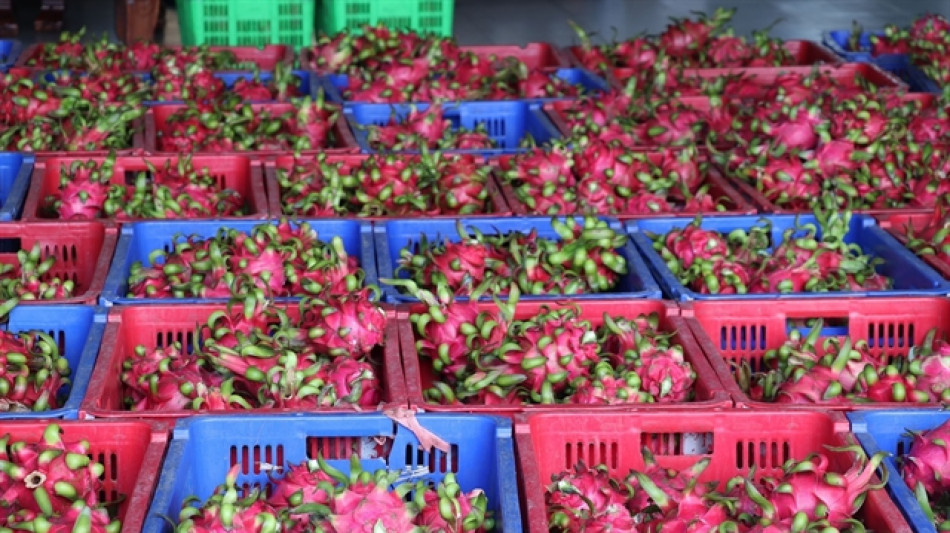 Vietnam: controlli pi&ugrave; severi Ue per import prodotti agricoli