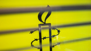 Amnist&iacute;a critica las deportaciones de venezolanos en EEUU a una c&aacute;rcel salvadore&ntilde;a