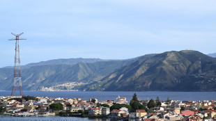 Ciucci, entro l'estate l'avvio fase realizzativa del ponte sullo Stretto