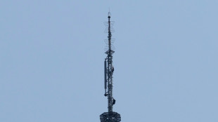 Casal que escalou Empire State Building para pedido de casamento &eacute; detido