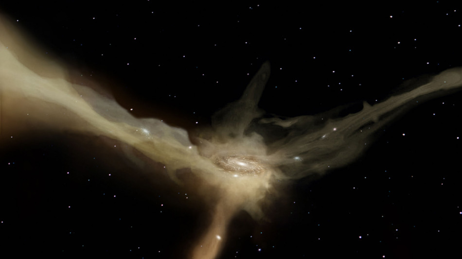  Meduse e anelli galattici, nell'archivio di Hubble 1.300 anomalie 