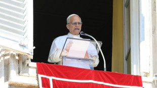 Papa Le&atilde;o XIV expressa solidariedade com a 'terra martirizada' de Gaza