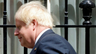 Conservadores brit&aacute;nicos lanzan primera ronda de votaciones para elegir al primer ministro
