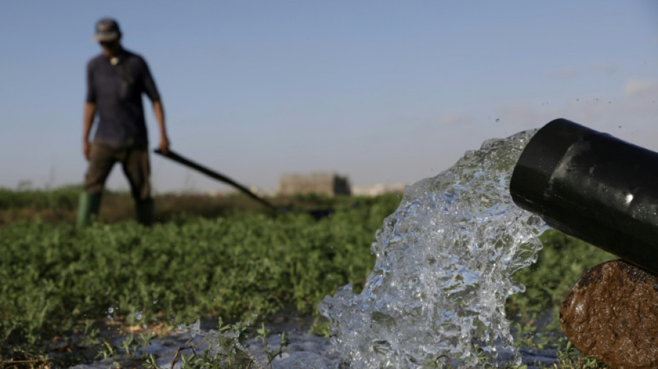 Drought-hit Morocco turns to desalination to save vegetable bounty