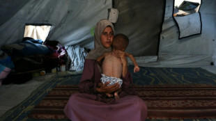 Israel declares Gaza fighting pause amid deepening hunger crisis
