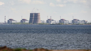 Ukraine et Russie s'accusent &agrave; nouveau de tirs sur la centrale nucl&eacute;aire de Zaporijjia