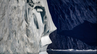 Dinamarca desarrolla "IcyAlert", una herramienta para predecir veranos sin hielo en el Ártico