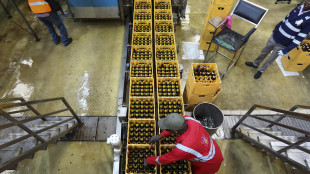 Reddito da lavoro nel mondo cala a 52,3%, pi&ugrave; disuguaglianze