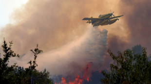 Spain races to contain blazes before temperatures rise