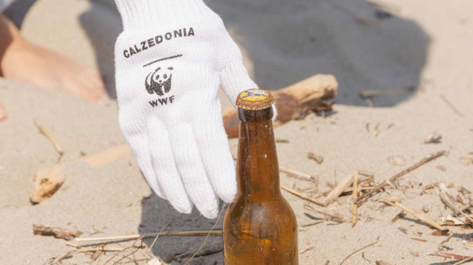Calzedonia e Wwf insieme per spiagge e coste più pulite