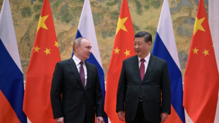 Xi asegura a Putin el apoyo de China en materia de "soberan&iacute;a"
