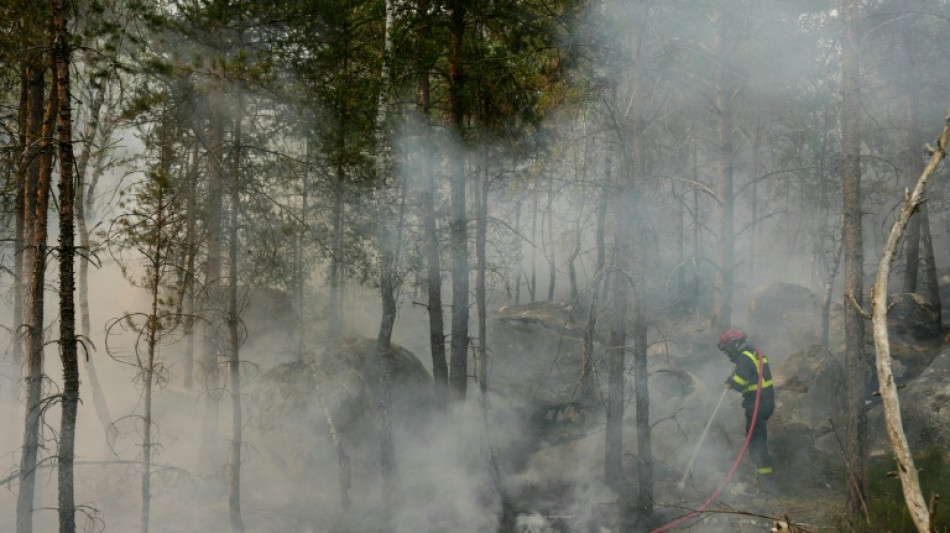  Waldbrand s&uuml;dlich von Paris: Feuerwehrmann gesteht Brandstiftung 