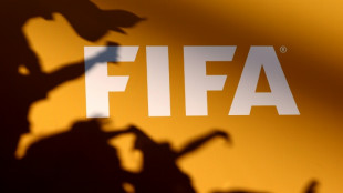 Fifa se diz aberta a negociar com sindicato FIFPro, mas descarta 'monop&oacute;lio'