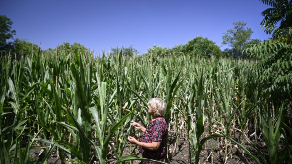 Leaking pipes as climate warms: Bulgaria faces water crisis