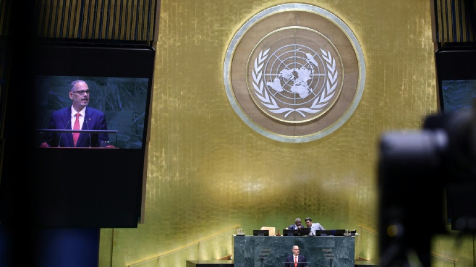  Conselho de Seguran&ccedil;a da ONU renova embargo de armas ao Haiti 
