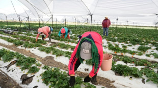 El banco central de M&eacute;xico reduce dr&aacute;sticamente su previsi&oacute;n de crecimiento para 2025