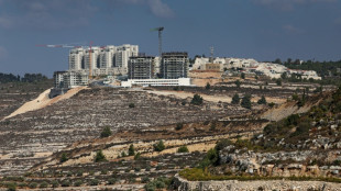 Grupo de 14 pa&iacute;ses condena que Israel anunciara expansi&oacute;n de asentamientos en Cisjordania