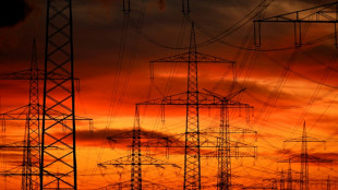 Produktion von gr&uuml;nem Strom 2025 konstant - deutlich mehr Strom aus Erdgas