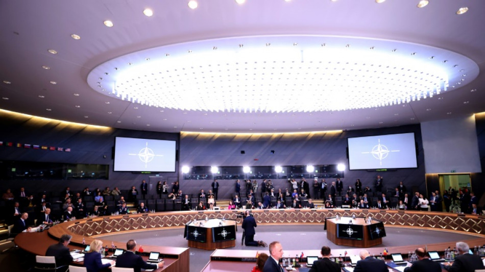 Washington s'active pour soutenir la candidature &agrave; l'Otan de la Finlande et de la Su&egrave;de