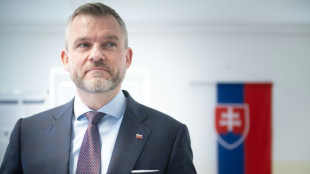 Teilergebnisse: Populist Pellegrini gewinnt Pr&auml;sidentschaftswahl in der Slowakei