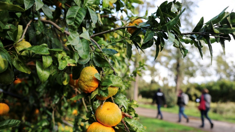  La Unión Europea alcanza un acuerdo para desarrollar cultivos con técnicas genómicas 