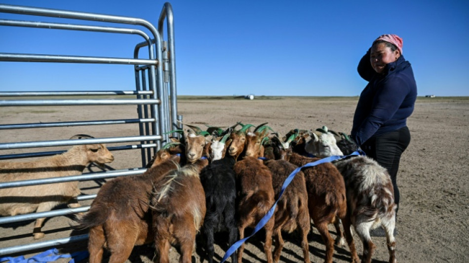  Face &agrave; l'avanc&eacute;e du d&eacute;sert, les &eacute;leveurs nomades de Mongolie se tournent vers la technologie 