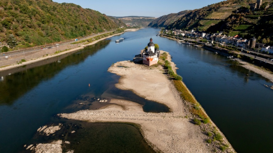  Allemagne: le Rhin &agrave; un niveau historiquement bas face &agrave; une s&eacute;cheresse persistante 
