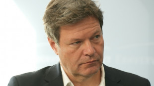 Habeck nennt konkrete Investitionspl&auml;ne deutscher Firmen in der Ukraine