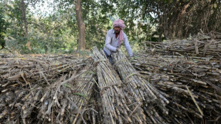Despu&eacute;s del trigo, India restringe la exportaci&oacute;n de az&uacute;car
