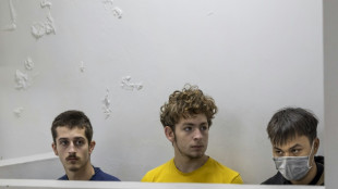 Kenya court fines teens for trying to smuggle protected ants