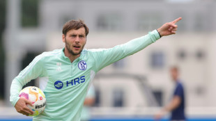 Kreutzer &uuml;bernimmt Schalke gegen Hertha