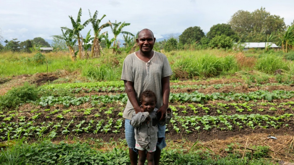 'Backyard fireworks' of WWII bombs still litter Solomon Islands