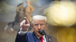 China, Canad&aacute; y M&eacute;xico responden a los aranceles impuestos por EEUU