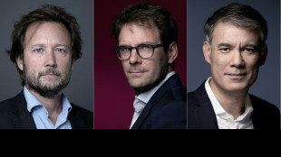 Congr&egrave;s: les socialistes choisissent leur premier secr&eacute;taire, la pr&eacute;sidentielle en ligne de mire