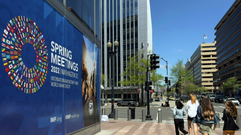 Deutschland nimmt auch bei russischer Pr&auml;senz an IWF- und G20-Beratungen teil