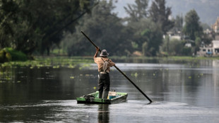 Mexico City tourist area appears to come into cartel's crosshairs