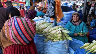 Bolivia libera el precio del d&oacute;lar en medio de una grave crisis