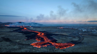 Islande: l'&eacute;ruption volcanique s'est calm&eacute;e, selon la protection civile 