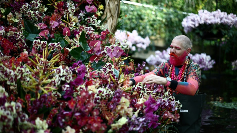 "Un viaje a Per&uacute;" a trav&eacute;s de las orqu&iacute;deas en el londinense Real Jard&iacute;n Bot&aacute;nico de Kew
