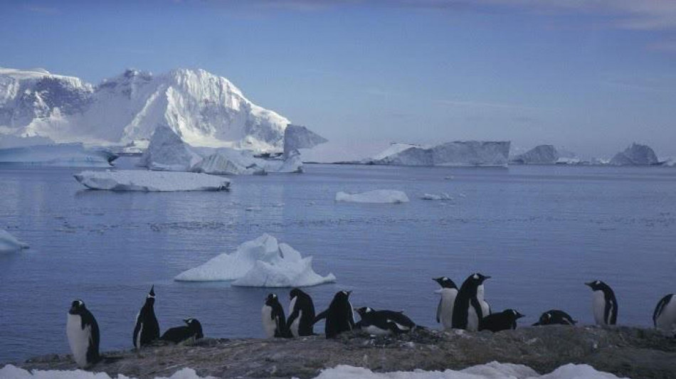 Antartide, appello dei ricercatori per studiare la stabilit&agrave; della calotta orientale 