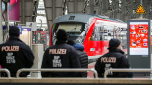 Bahn-Mitarbeiter st&uuml;rzt bei Auseinandersetzung mit Fahrgast aus fahrendem Zug