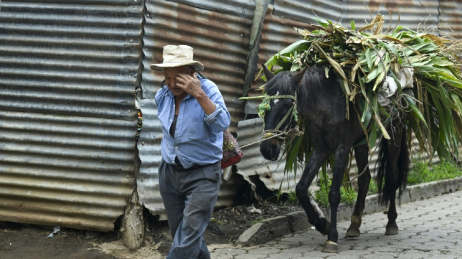  La esperanza de vida mundial recupera casi el nivel previo al covid-19, seg&uacute;n la OMS 