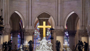 Crosse, orgue et Magnificat: le programme religieux de la r&eacute;ouverture de Notre-Dame samedi