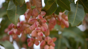 Revisan a la baja la inflaci&oacute;n en Espa&ntilde;a en enero, al 2,9% interanual