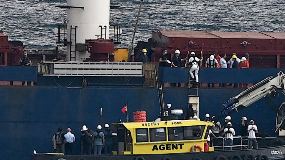 Concluye en Turqu&iacute;a la inspecci&oacute;n del primer buque con grano ucraniano